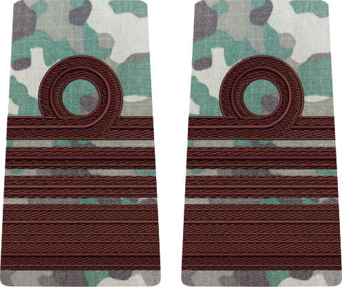 GRADE COMBAT COMANDOR MARINA MILITARA  (Forțele Navale Române)